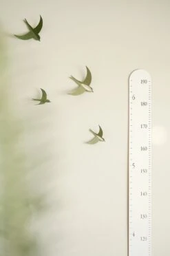 Abricotine Échelle De Croissance Blanche -Fillettes & Fiston Soldes abricotine echelle de croissance blanche 2