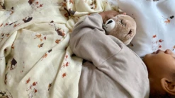 Maovic Housse Vers Le Pôle Nord -Fillettes & Fiston Soldes maovic housse vers le pole nord 1