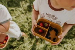 Minika Boîte Bento Natural