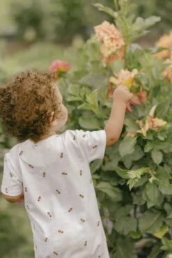 Petit Lem Romper Short Abeilles -Fillettes & Fiston Soldes petit lem romper short abeilles 3