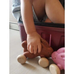 Plan Toys Lapin Roulant Brun